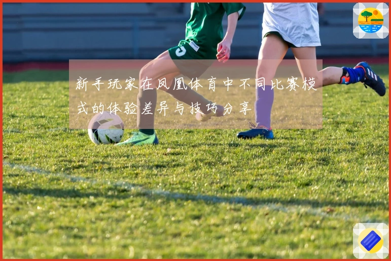 新手玩家在凤凰体育中不同比赛模式的体验差异与技巧分享